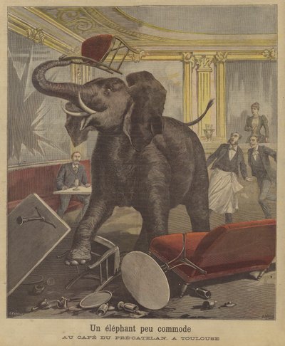 Un éléphant en furie dans un café de Toulouse - French School